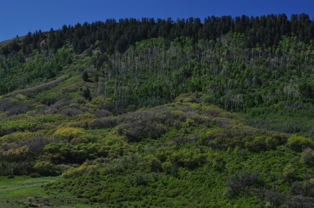 The lucious green hillsides of Highway 160 between Durango and Mancos